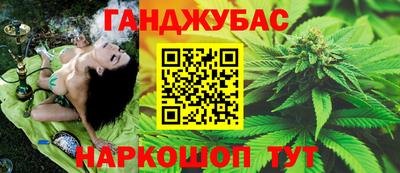 стаф Заводоуковск