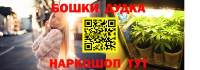 стаф Заводоуковск